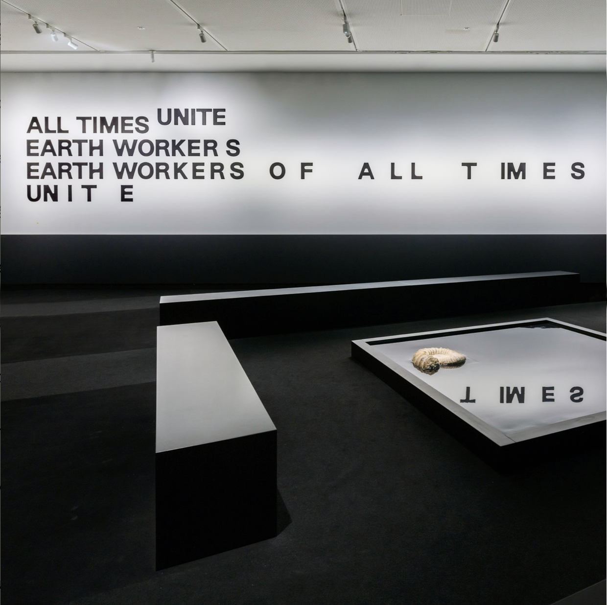 WALL TEXTS